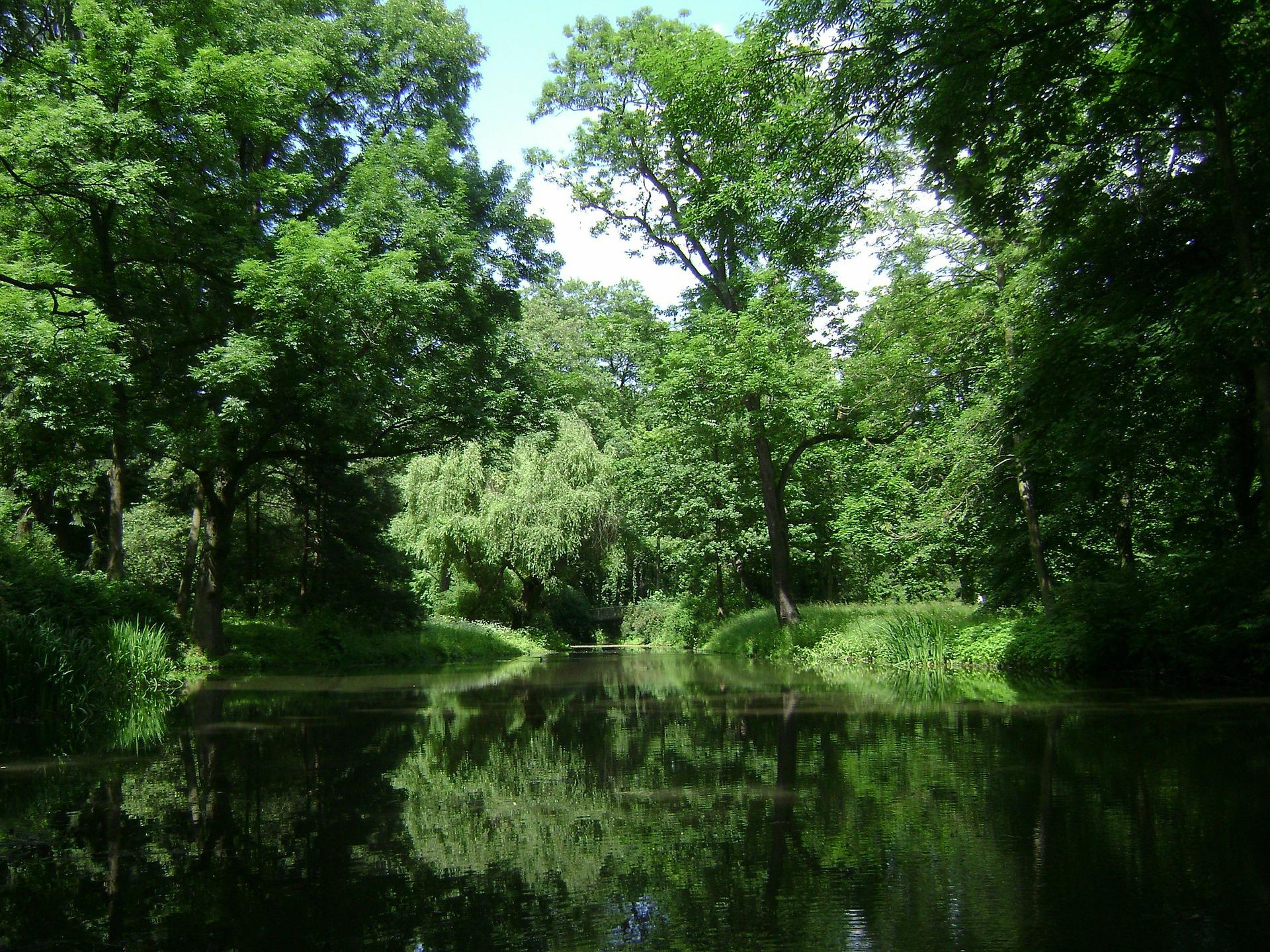 Park